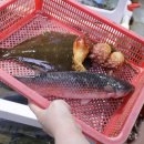 소희수산 이미지