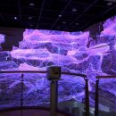 영월동굴생태관 이미지