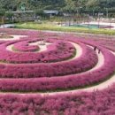 신소양체육공원 이미지