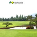 경주신라컨트리클럽 이미지