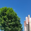 무성약국 이미지