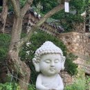 3672 | 서울 성북동 가볼만한 곳 길상사 꽃무릇 방문 후기