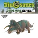 더모이라 이미지