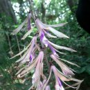 산울펜션 이미지