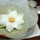 이와서 이미지