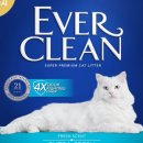 에버크린 이미지