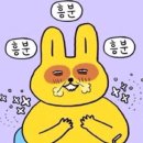 이수진에스테틱 이미지