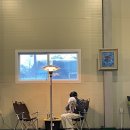[남양주] ‘시고르댕’ 실내애견카페 비오는 날 후기