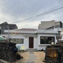 제주 살레 | 애월 l 제주살레