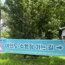 한강 | 여의도 한강수영장 음식, 주말 아침 후기, 준비물, 전기구이 통닭