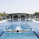 올림픽수영장 이미지