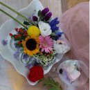 (학부모) 그림책으로 만나는 원예 테라피 이미지