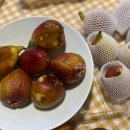 영오농장 이미지