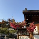 어진박물관 | 전주 여행 단풍명소 전주경기전 어진박물관 체험까지 알찬 후기