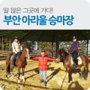 부안아리울승마장 이미지