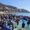 거제도국제펭귄수영축제 | 거제 덕포해수욕장 국제펭귄수영축제 이색체험 구경 후기