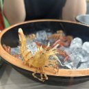 라라스테이션 | 울릉도 독도 닭새우 맛집, 비치온회센터 내돈내산 후기