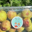 홍성1농장 이미지