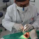 내곡웰치과의원 이미지