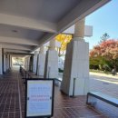 11월 11일 경주박물관 금관 외 이미지