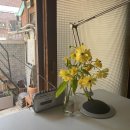 더 베이스(The Vase) | [직계가족식] 1. 내가 작은 결혼식을 하기로 마음먹은 이유
