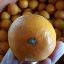 유석농장 이미지