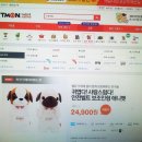 씨티에프 이미지