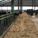 흥천목장 이미지