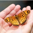 덕산지압원 이미지