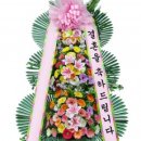 타미나 이미지
