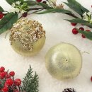 진주꾸미 이미지