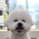 루앤오 이미지