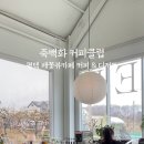 죽백화 이미지