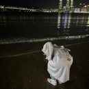부우사안 이미지