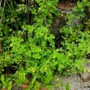 김천화장장 이미지