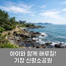 신평 | 부산 기장 아이랑 해루질 가능한 신평소공원 후기