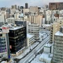 [일본 여행] 삿포로 비에이투어⛄ 여행한그릇 비에이투어 후기⛄
