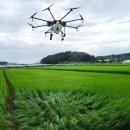 남세종농업협동조합 이미지