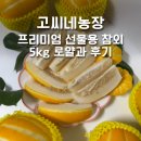 성주농장 | 성주참외 추천｜고씨네농장 프리미엄 선물용 참외 5kg 로얄과 후기