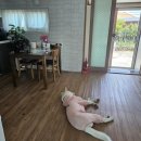 진이네 하우스 이미지