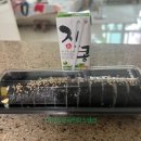 원시티 김밥