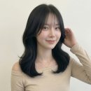 이가자프리미엄