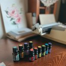 나를 위로하는 감정테라피 이미지