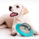 대성사료 이미지