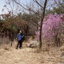 꽃구경과 같이할 청도역. 추어탕 이미지