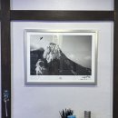 역삼1-108 | 역삼 맛집ㅣ코미도리 역삼에서 도미정식 먹은 후기