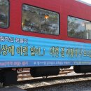 정동진시간박물관 이미지