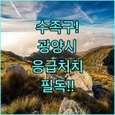 중마대형약국 | 수족구 집중 관리와 광양시 응급 대처 방법