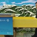 새날의전