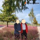 제나힐링센터 이미지